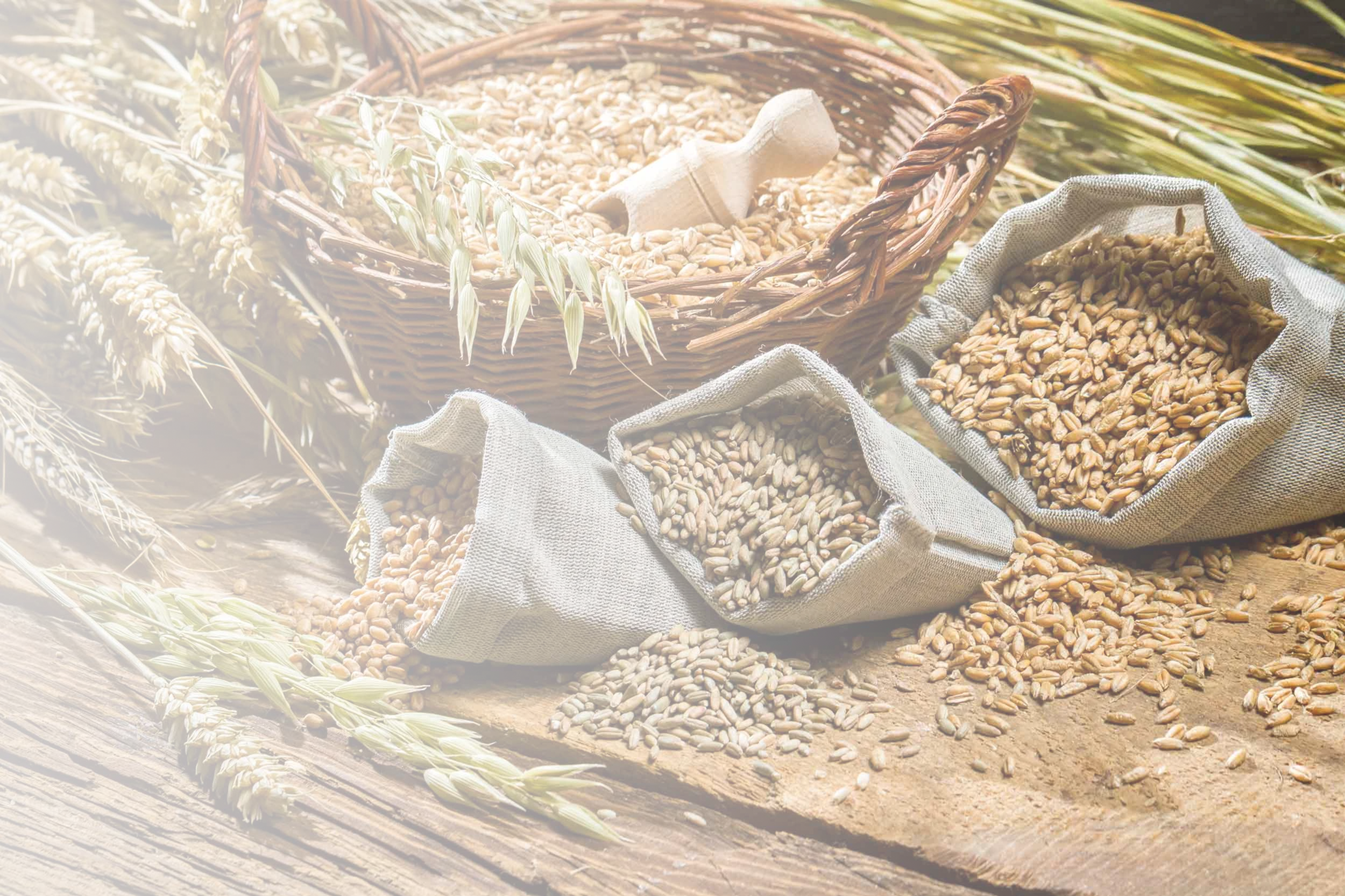 五谷杂粮 Whole Grains