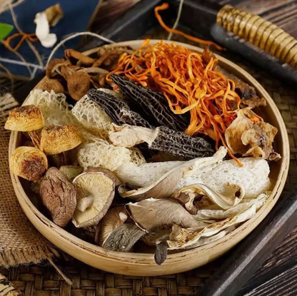 Yun Nan Mushrooms Combo 云南特产七彩菌汤包松茸菌蘑菇菌汤包干货汤料