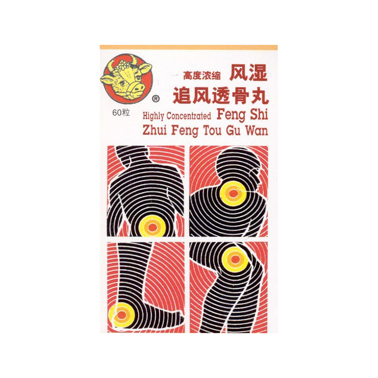 Zhui Feng Tou Gu Wan 风湿追风透骨丸60 Tablets – New York Tong Ren 