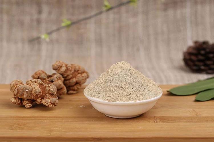 🌿 三七：传说中的“金不换”止血圣草 | Panax Notoginseng: The Legendary "Untouchable Gold" Hemostatic Herb