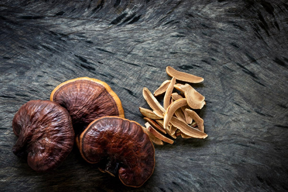 🍄 神奇药用菌菇：来自森林的健康智慧 | Medicinal Mushrooms: Nature's Ancient Wisdom for Modern Health