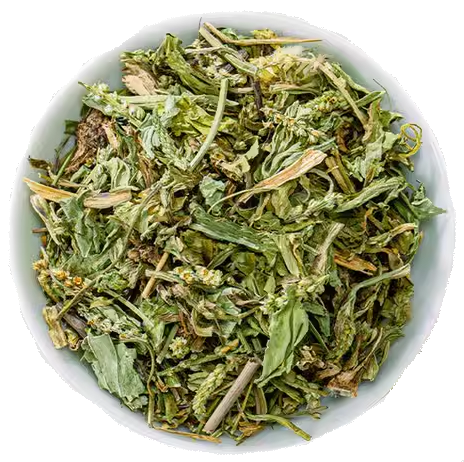 Che Qian Cao 车钱草 1LB