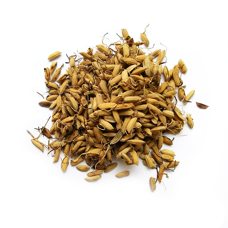 Chao Gu Ya 生/炒 谷芽