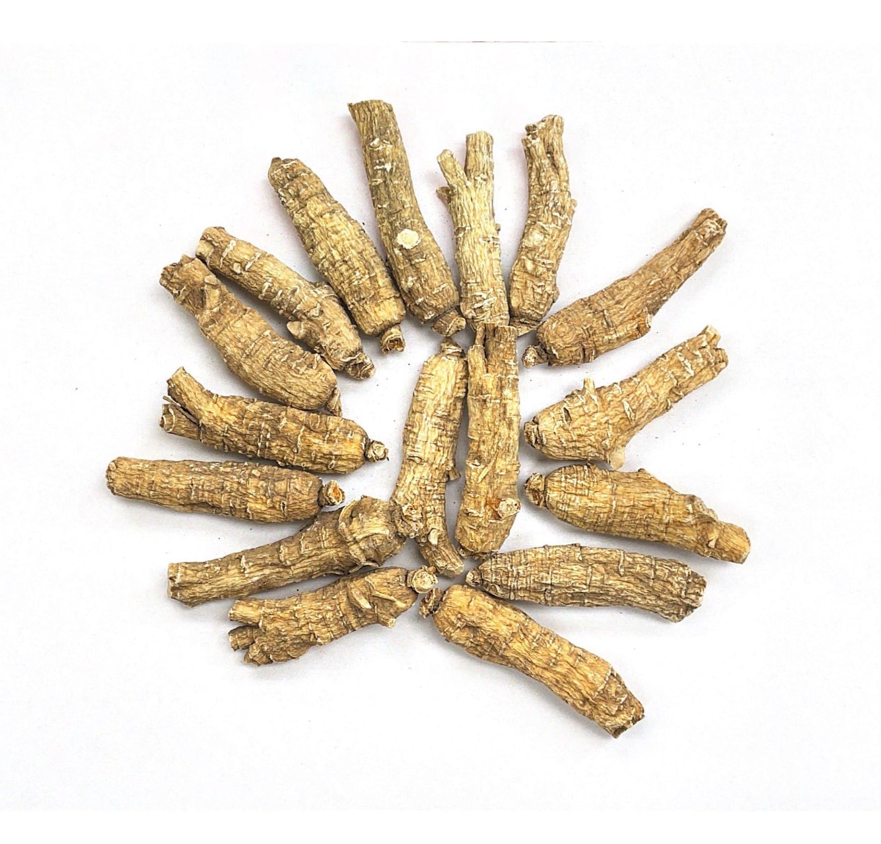 American Ginseng 纽约同仁堂散装中枝半野花旗参 4Oz