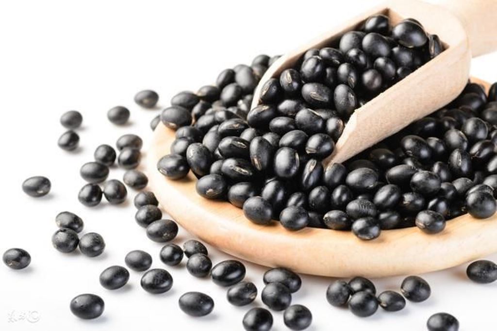Black Beans （Hei Dou) 黑豆