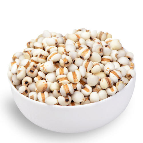 Semen Coicis (Yi Mi) 薏米/薏苡仁